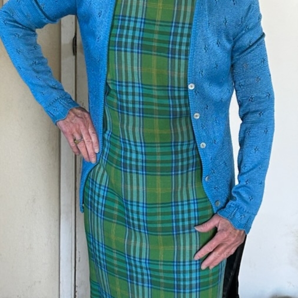 Blue Cardigan and Green Plaid Dress